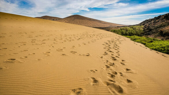 Fuerteventura, Kanaren