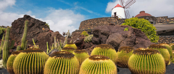 Landausflüge auf Lanzarote