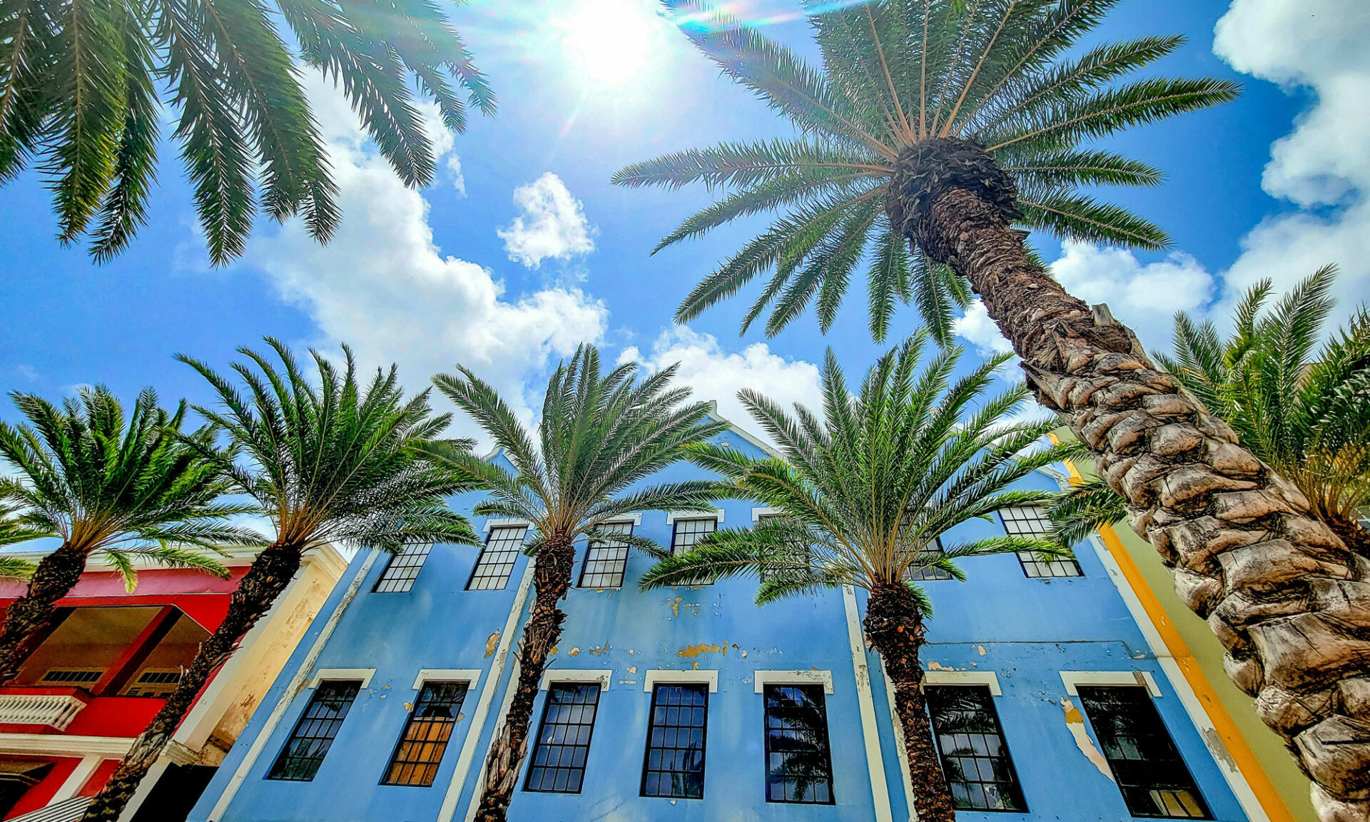 Bunte Häuser und Palmen in Oranjestad, ARuba