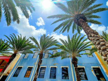 Bunte Häuser und Palmen in Oranjestad, ARuba