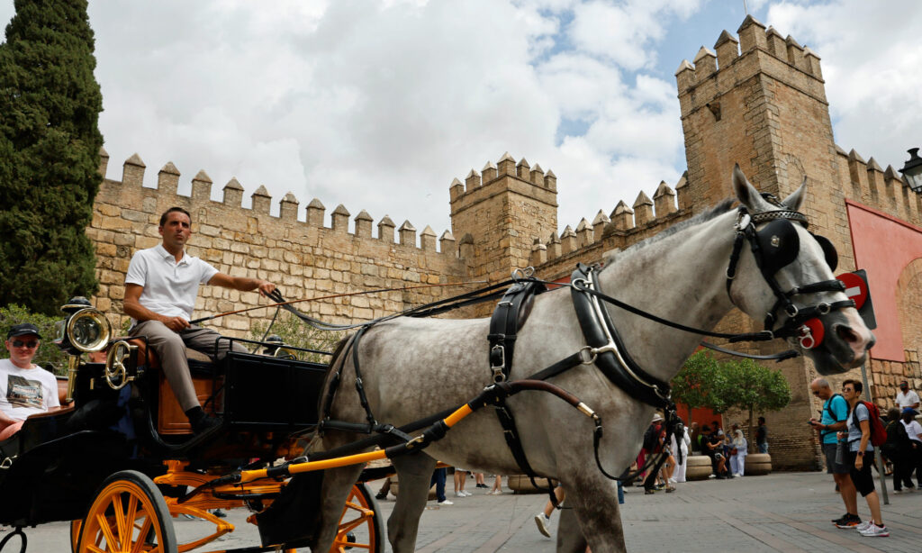 Pferd vor Königspalast in Sevilla