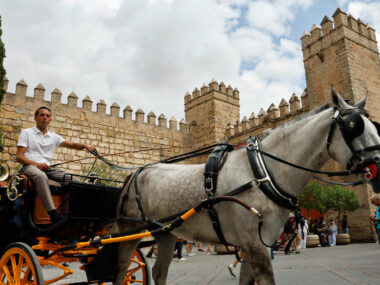 Pferd vor Königspalast in Sevilla