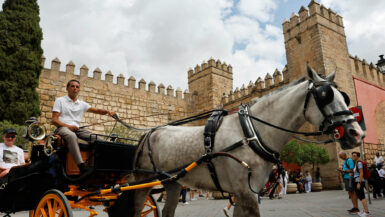 Pferd vor Königspalast in Sevilla