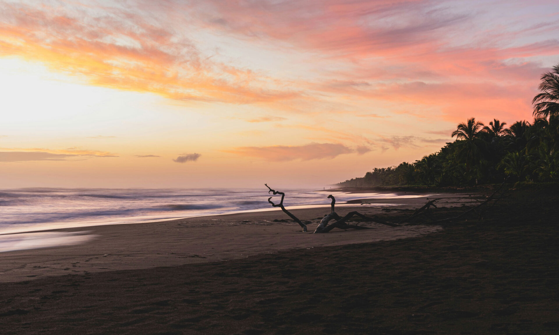 Tortuguero, Limón, Costa Rica