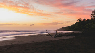 Tortuguero, Limón, Costa Rica