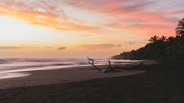 Tortuguero, Limón, Costa Rica